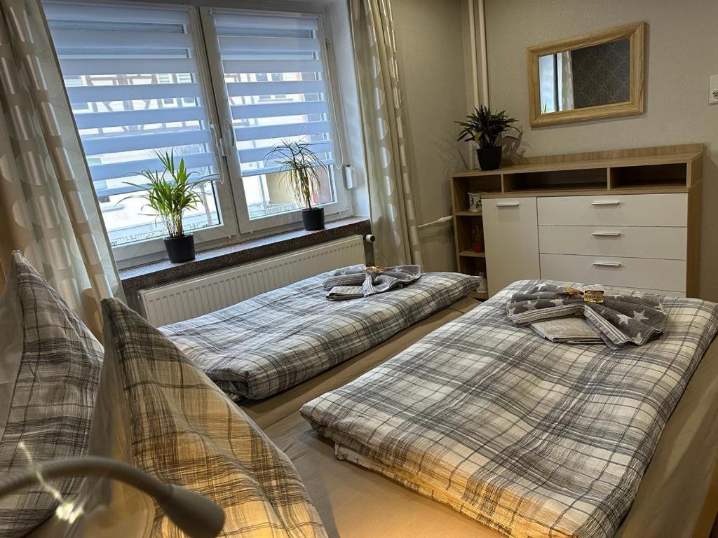 Christels Ferienwohnung 2 In Thale Mit Ueberdachter Terrasse, Kueche Mit Tv & Geschirrspueler Buitenkant foto